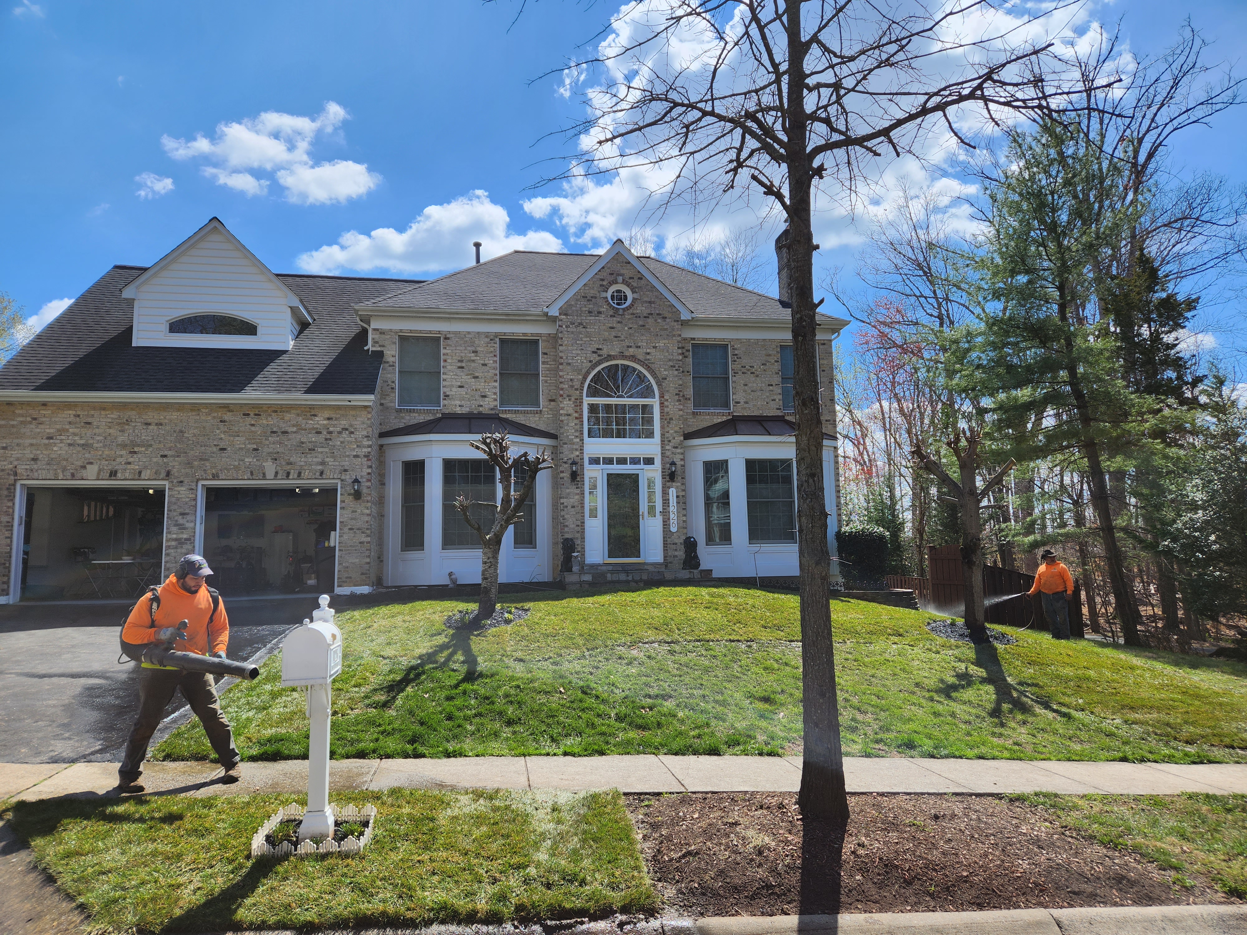 Sod Installation